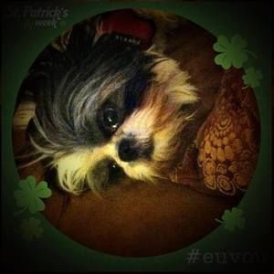 Meet your Posher, Brenda